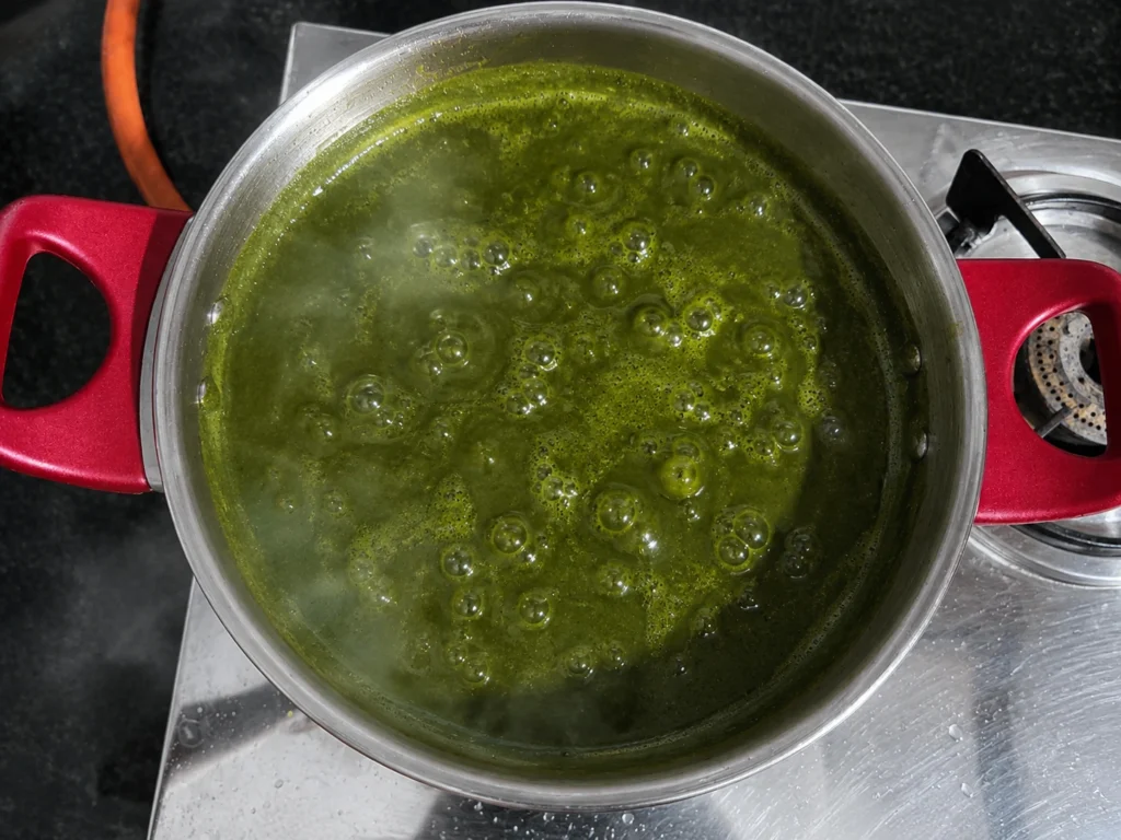 Step 8 — Palak Paneer Recipe | Spinach Paneer Curry