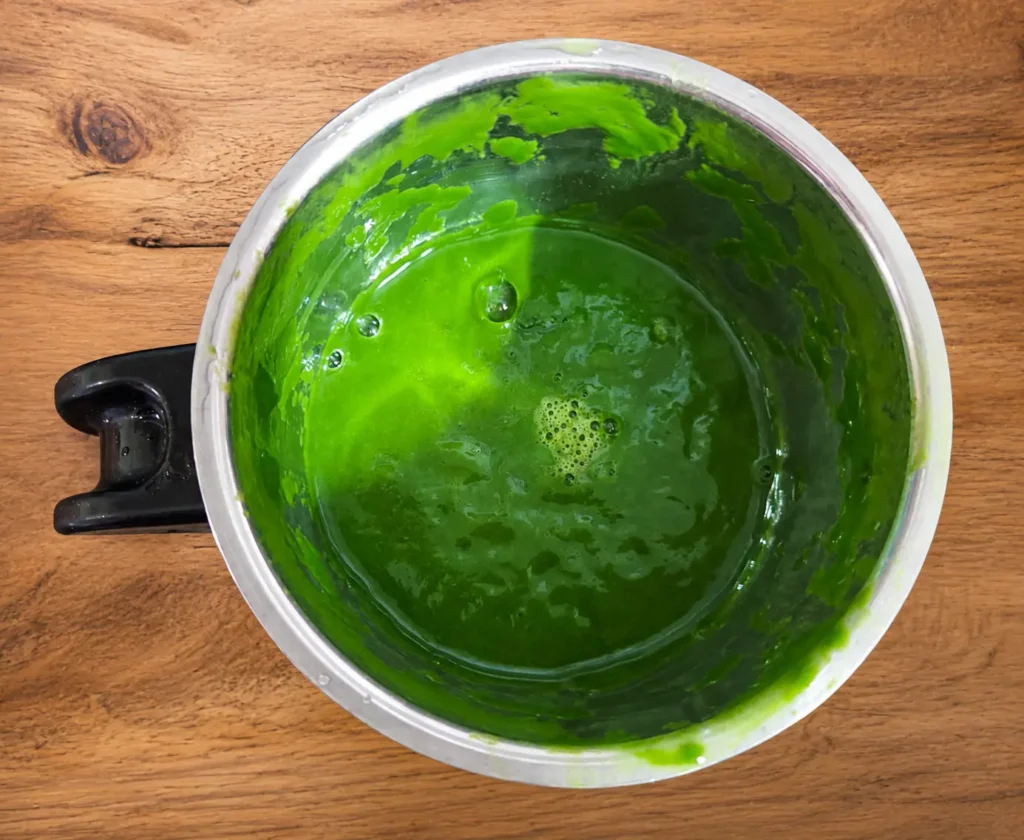 Step 4 — Palak Paneer Recipe | Spinach Paneer Curry